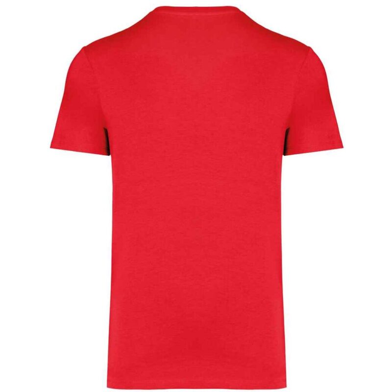 Native Spirit Unisex Heavyweight T-Shirt