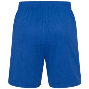 AWDis Cool Mesh Lined Shorts