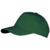 Bottle Green