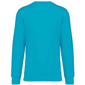 Native Spirit Unisex Crew Neck Sweatshirt