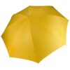 True Yellow
