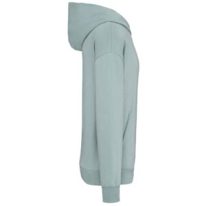 Native Spirit Unisex Oversized Hoodie