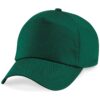Bottle Green