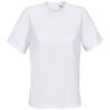 Absolute White