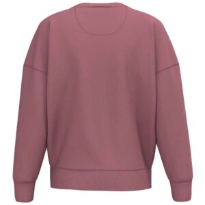 Native Spirit Ladies Crew Neck Sweatshirt