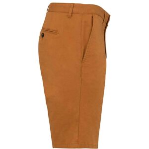 Native Spirit Chino Shorts