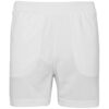 Arctic White