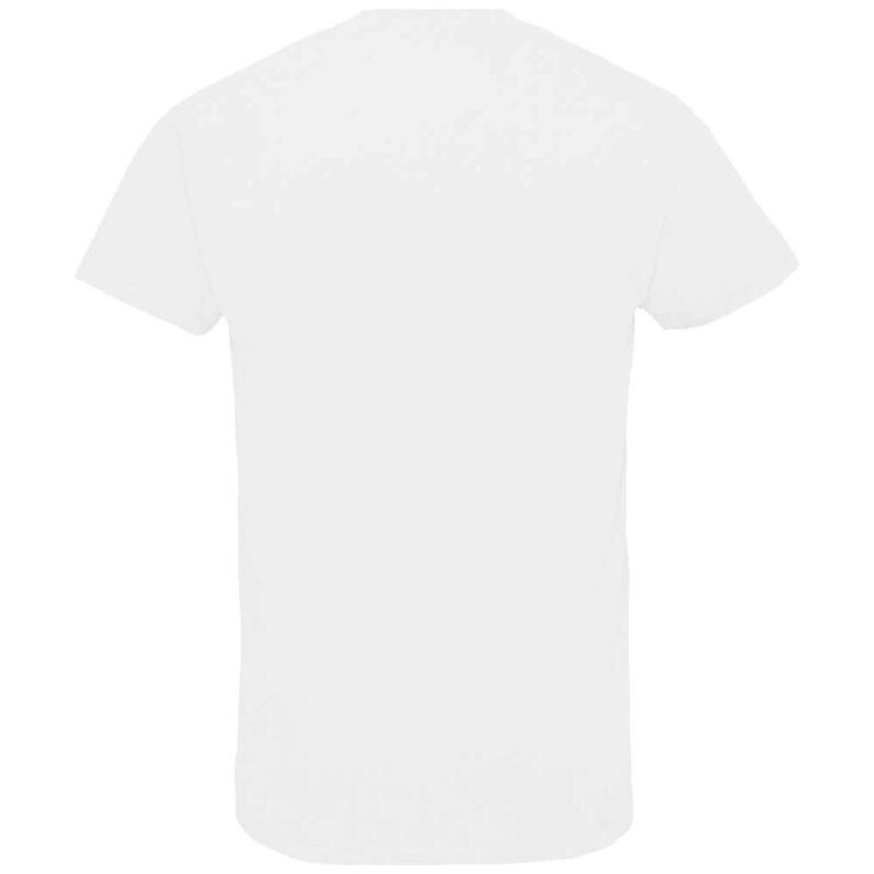 SOL'S Imperial V Neck T-Shirt