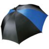 Black/Royal Blue