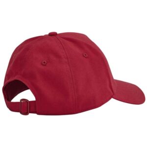 Beechfield EarthAware Classic Organic Cotton 5 Panel Cap