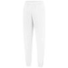 Arctic White