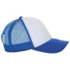 White/Royal Blue