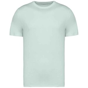 Native Spirit Unisex Heavyweight T-Shirt
