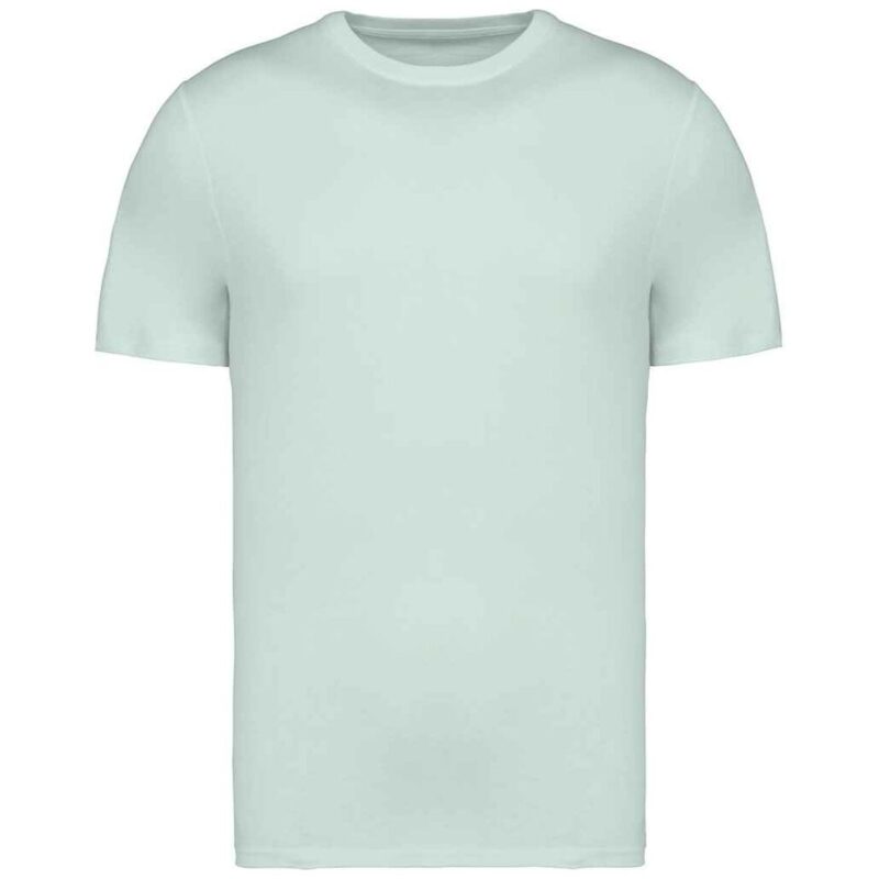 Native Spirit Unisex Heavyweight T-Shirt