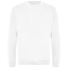 Arctic White