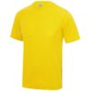Sun Yellow