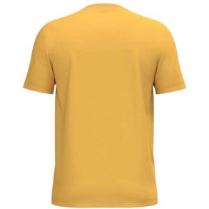 Native Spirit Unisex Heavyweight T-Shirt