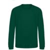 Rainforest Green