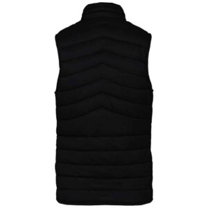 Native Spirit Ladies Light Recycled Bodywarmer