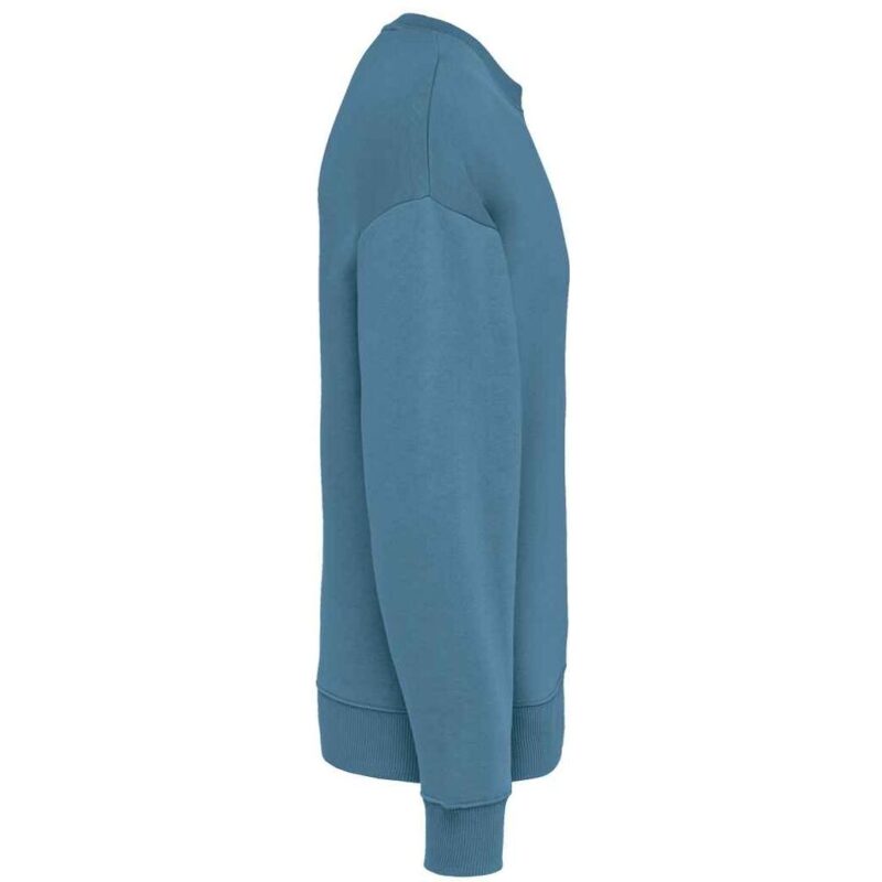 Native Spirit Unisex Oversized Sweatshirt