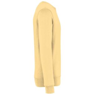 Native Spirit Unisex Crew Neck Sweatshirt