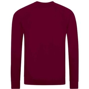 AWDis Academy Senior Raglan Sweatshirt