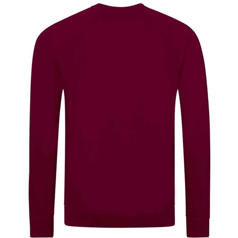 AWDis Academy Senior Raglan Sweatshirt