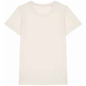 Native Spirit Ladies T-Shirt