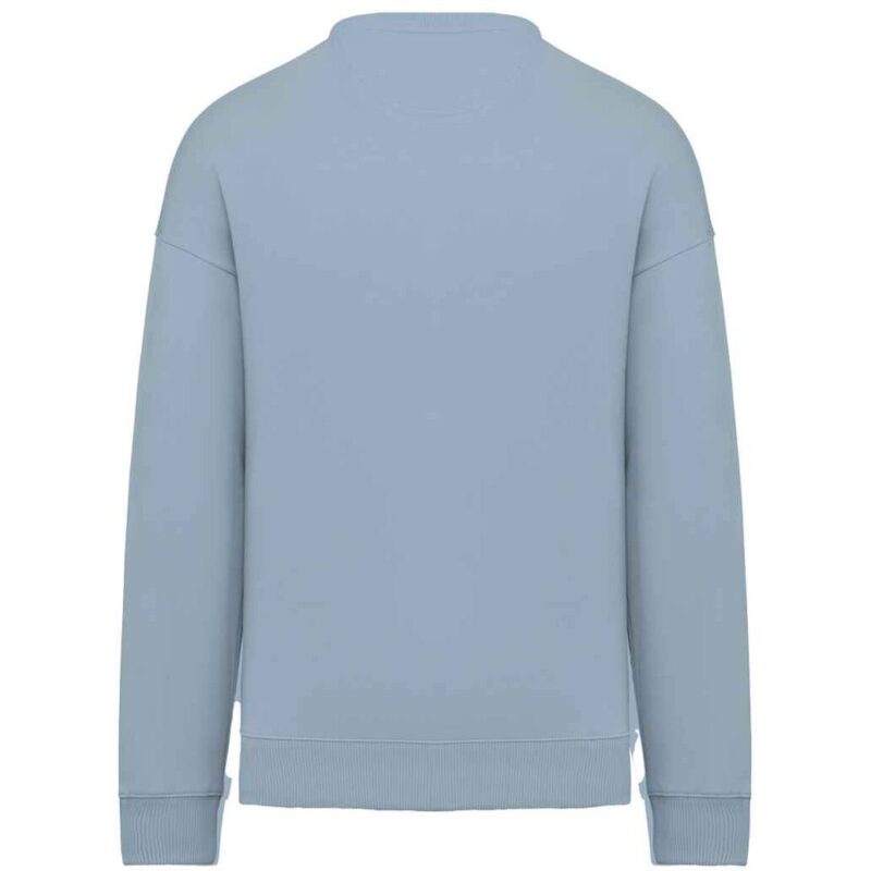 Native Spirit Unisex Oversized Sweatshirt