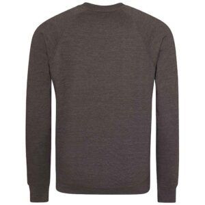 AWDis Academy Senior Raglan Sweatshirt