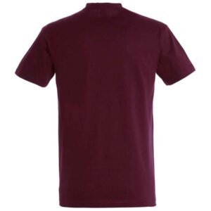 SOL'S Imperial Heavy T-Shirt