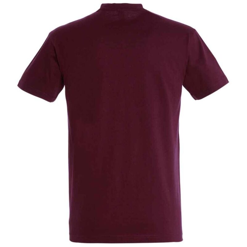 SOL'S Imperial Heavy T-Shirt