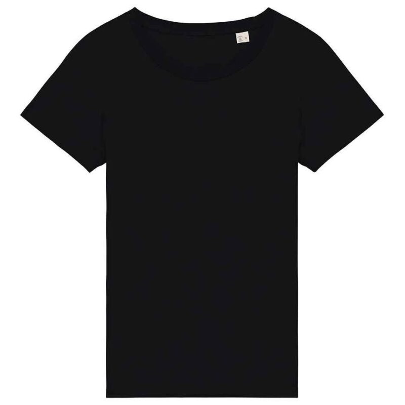 Native Spirit Ladies T-Shirt