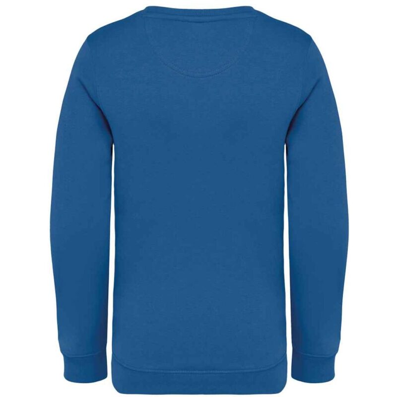 Native Spirit Kids Crew Neck Sweatshirt