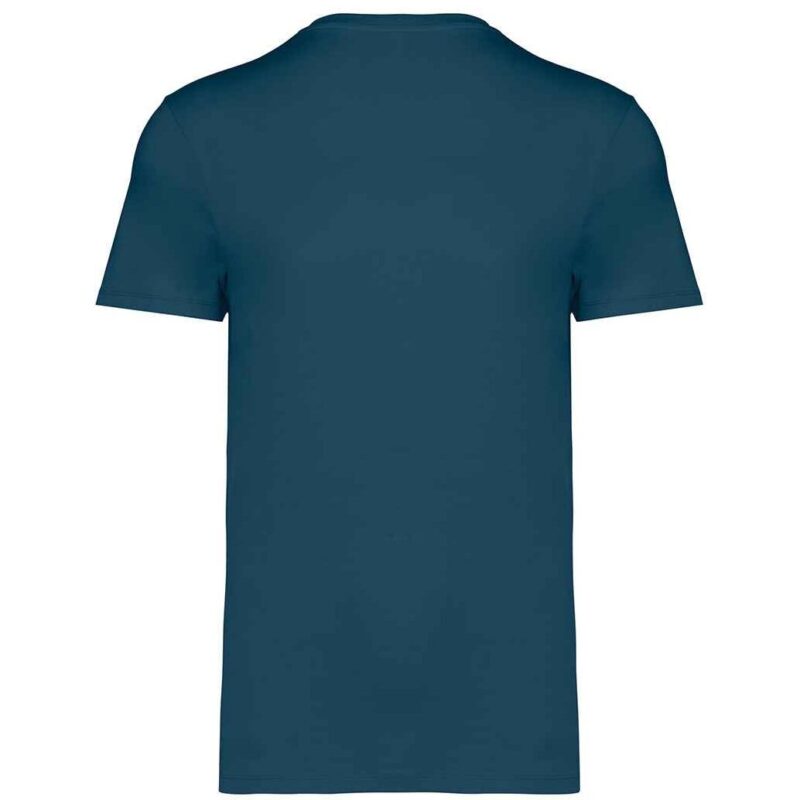 Native Spirit Unisex Heavyweight T-Shirt