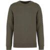 Organic Khaki