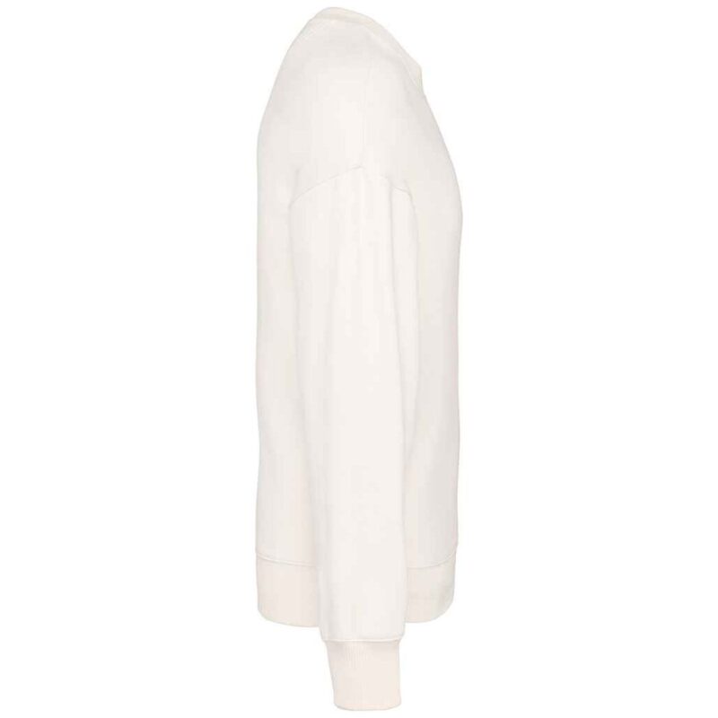 Native Spirit Unisex Oversized Sweatshirt