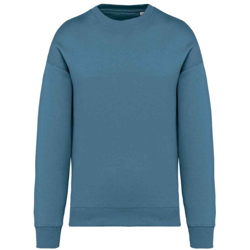 Native Spirit Unisex Oversized Sweatshirt