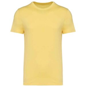 Native Spirit Unisex Heavyweight T-Shirt