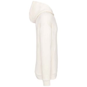 Native Spirit Unisex Oversized Hoodie