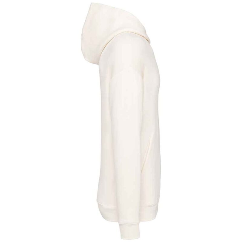 Native Spirit Unisex Oversized Hoodie