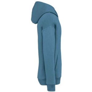Native Spirit Unisex Oversized Hoodie