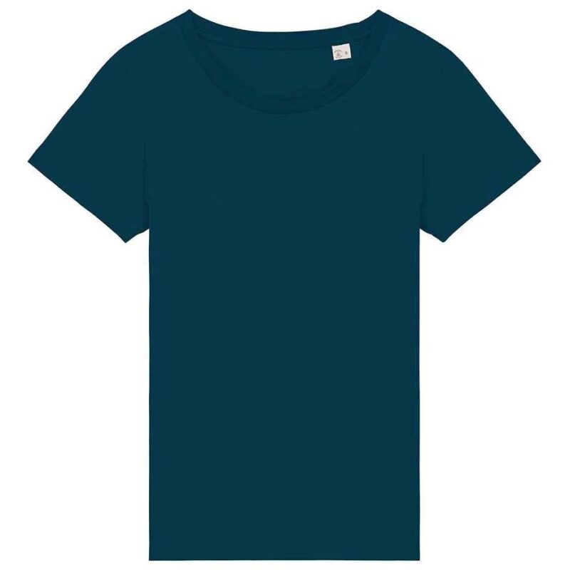 Native Spirit Ladies T-Shirt