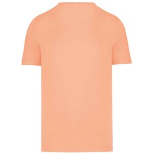 Native Spirit Unisex T-Shirt
