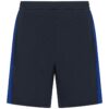 Navy/Royal Blue