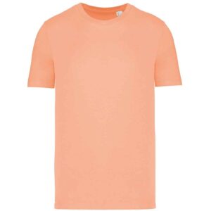 Native Spirit Unisex T-Shirt