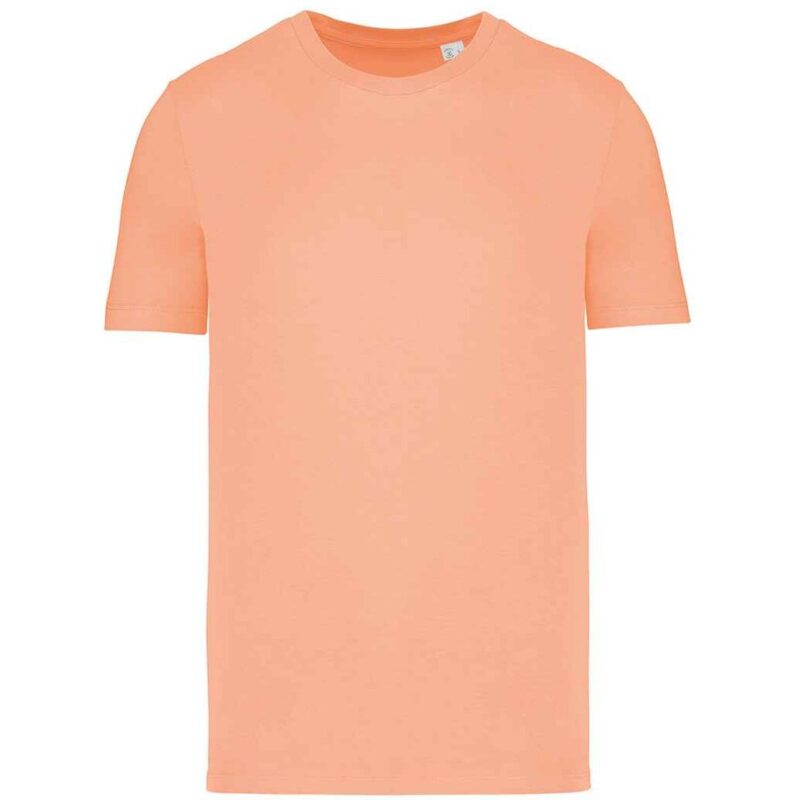 Native Spirit Unisex T-Shirt