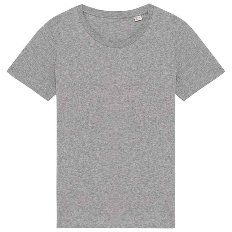 Native Spirit Ladies T-Shirt