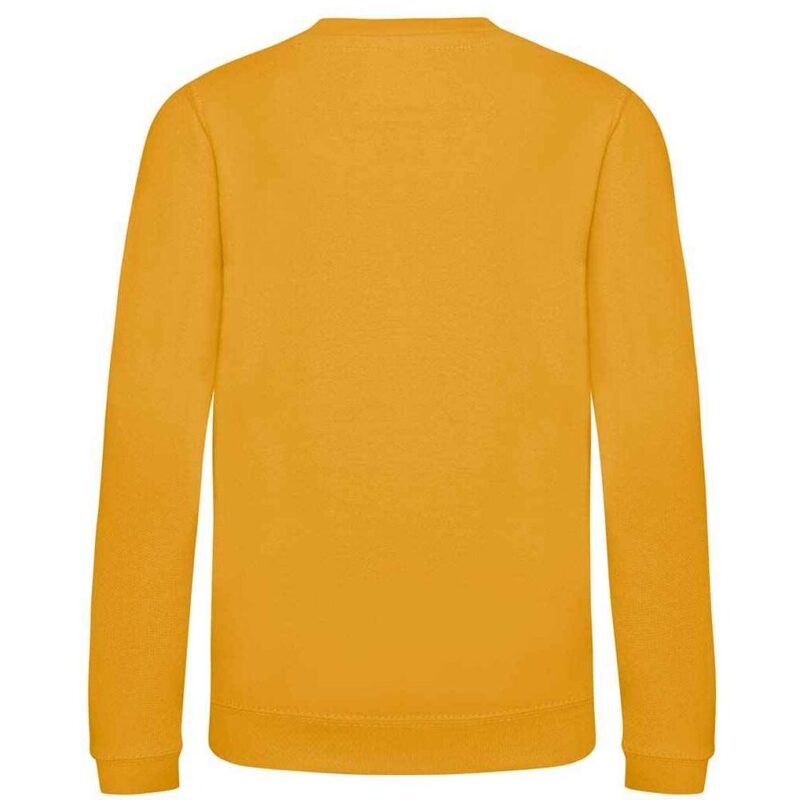 AWDis Kids Sweatshirt