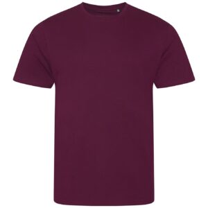 Ecologie Cascades Organic T-Shirt